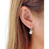 Paw Hoop Earrings / EA010010303